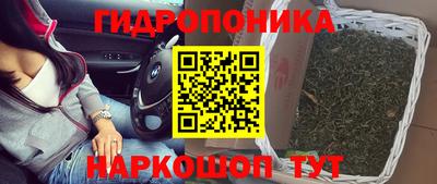 наркотики Будённовск
