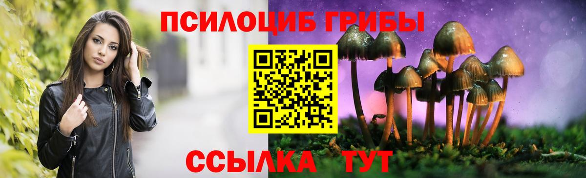 Галлюциногенные грибы мицелий Красный Сулин